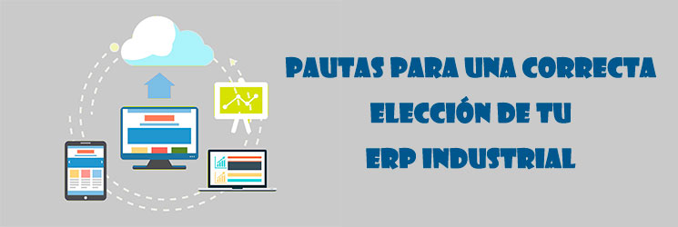 Pautas para una correcta elección de ERP