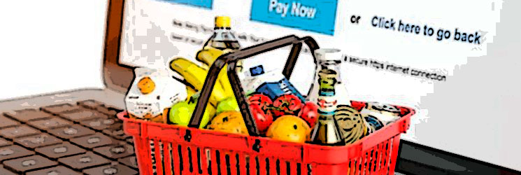 eCOMMERCE ALIMENTARIO